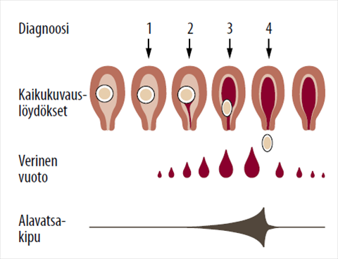 studie industrieel ingenieur antwerpen